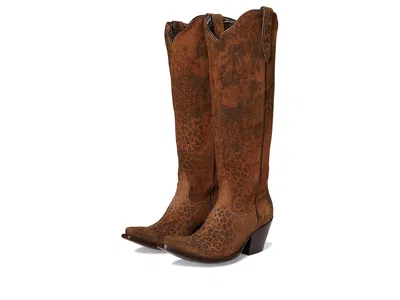 Ariat Casanova In Brown