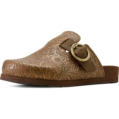 Ariat Country Mule In Brown