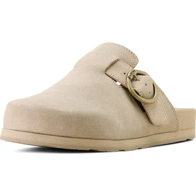 Ariat Country Mule In Neutral