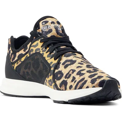 Ariat Fuse Sneaker In Multi