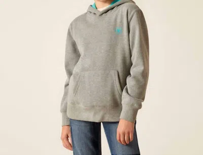 Ariat Kids' Girl's Equipment Hoodie In Heather Grey In Gray