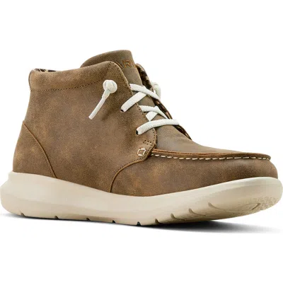 Ariat Hilo High Top Sneaker In Brown