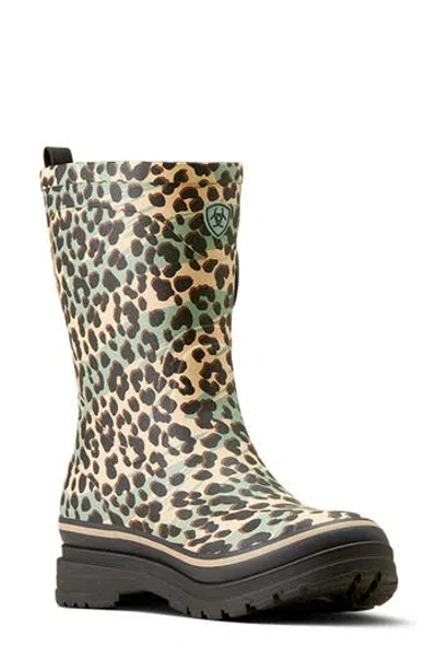 Ariat Kelmarsh Mid Waterproof Boot In Brown
