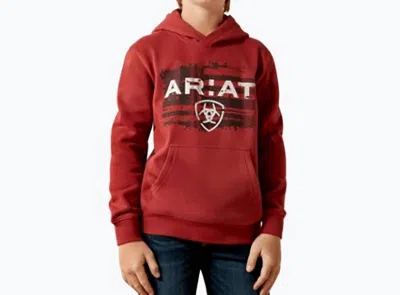 Ariat Kids' Liquid Stamp Hoodie In Brick Red