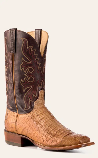 Ariat Lucchese Men's Burnished Coffee Hornback Caiman Wide Square Toe Boots In Multi