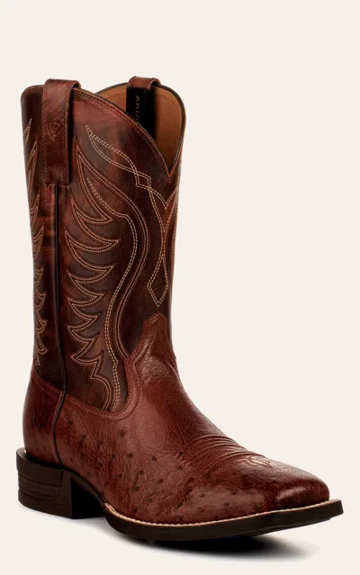 Ariat Men's Reckoning Nut Brown And Dark Tabac Smooth Quill Ostrich Shock Shield Wide Square Toe Exotic Co