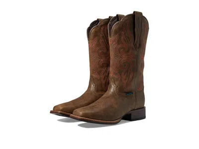 Ariat Primera Stretchfit In Brown