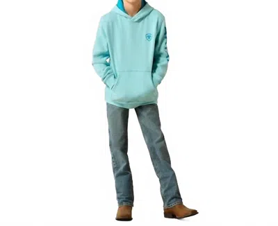 Ariat Kids' Printed Logo Hoodie In Aqua Heather In Multi
