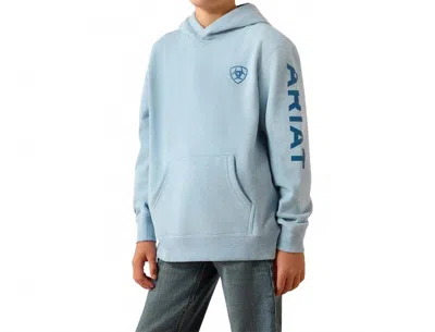 Ariat Kids' Printed Logo Hoodie In Baby Blue Heather In Multi