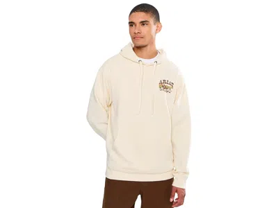 Ariat Pulp Western Hoodie Men's Sweatshirt Turtledove: Xl, Cotton/polyester In Neutral
