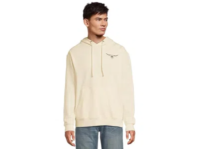 Ariat Shield Steerhead Hoodie In Neutral