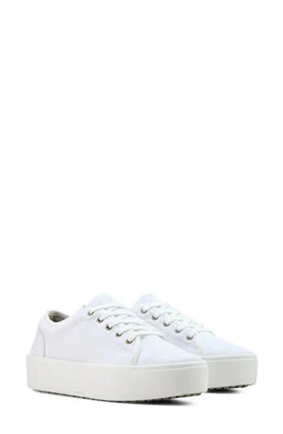 Ariat Skylar Platform Sneaker In White