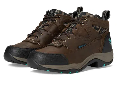 Ariat Terrain Waterproof In Brown