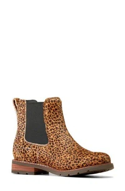 Ariat Wexford Genuine Calf Hair Chelsea Boot In Brown
