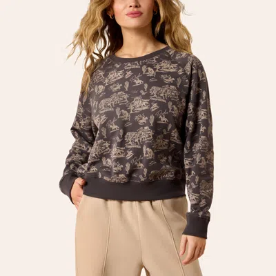 Ariat Women's Essential Gray Retro Rodeo Print Sweatshirt