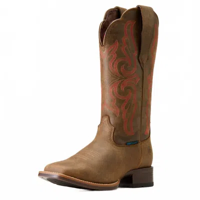 Ariat Women's Primera Stretchfit H20 Western Boot In Pebble In Gray