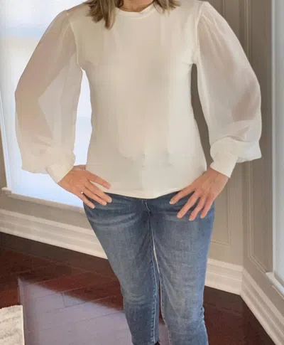 Ariella Chiffon Sleeve Top In Ivory In White