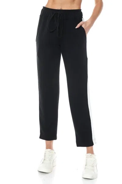 Ariella Straight Leg Scuba Pant In Black
