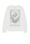 Aries Faded  Ex Amino Long Sleeve Tee