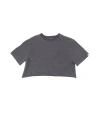 Ariko Beach Crop Tee In Gray
