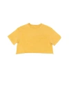 Ariko Beach Crop Tee In Animal Print