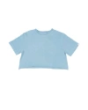 Ariko Beach Crop Tee In Animal Print