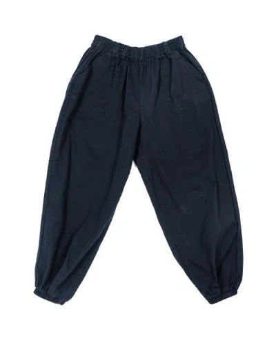 Ariko Day Pants In Blue