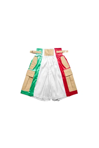 Aris Tatalovich Boxing Cargo Shorts Multi