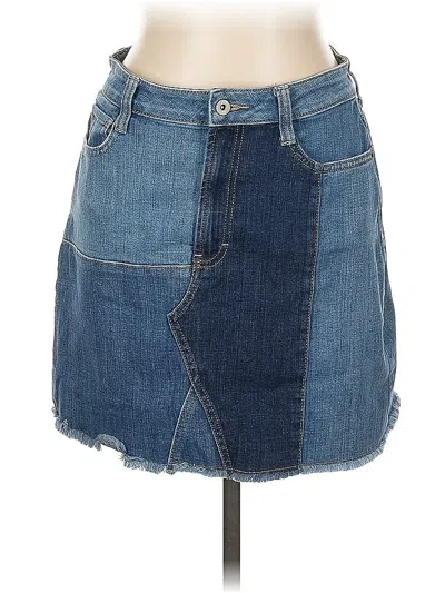 Pre-owned Arizona Jean Company Denim Skirt In Blue
