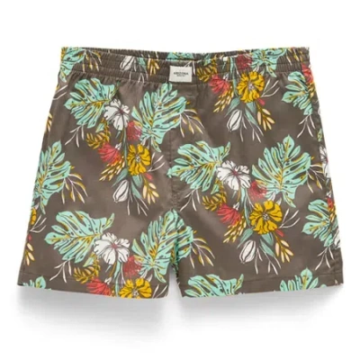 Arizona Mens Boxers 386707 In Gray