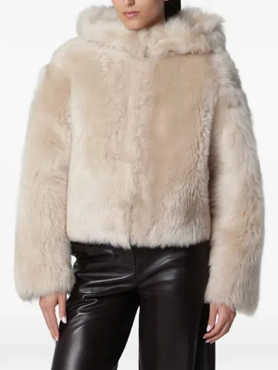 Arma Bianca Shearling Jacket In Neutrals