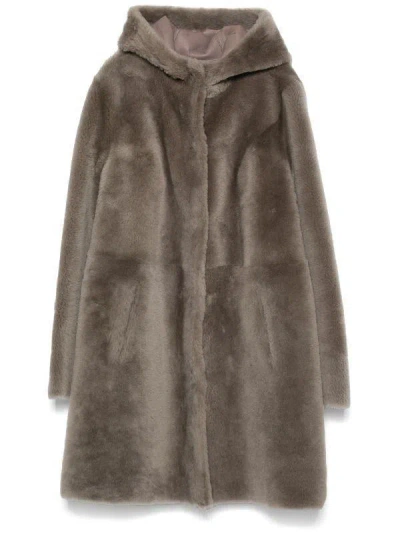 ARMA ARMA COATS