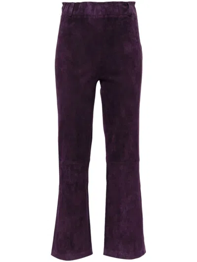 Arma Ferrara Trousers In Purple