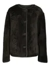 Arma Lamb-leather Button-fastening Jacket In Black