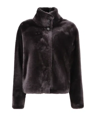 Arma Long-sleeve Leather Jacket In Brown