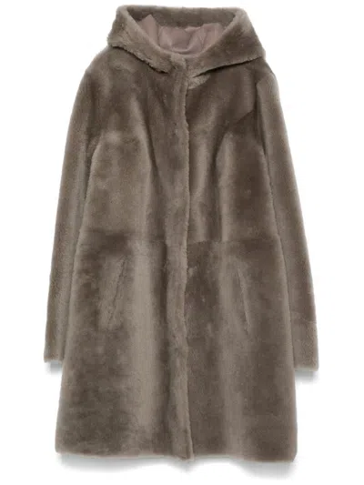 Arma Sama Coat In Cement Gray