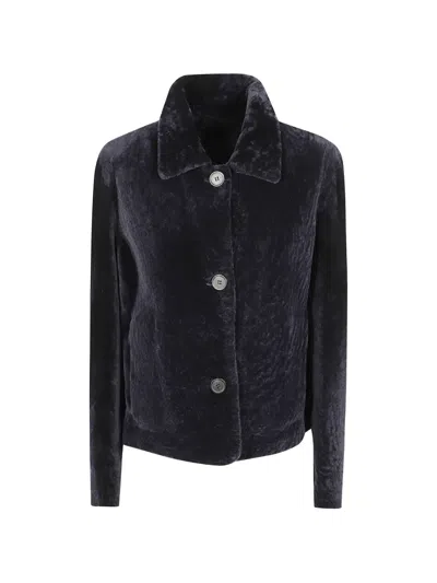 Arma Short-curl Shearling Jacket With Velvet Texture And Classic Collar In Blue