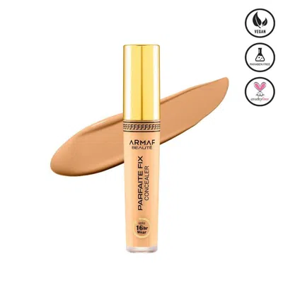 Armaf Beaut Parfaite Fix  Concealer In Multi