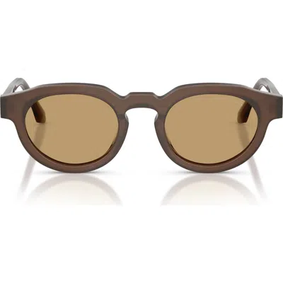 Armani Collezioni Armani 47mm Round Sunglasses In Brown