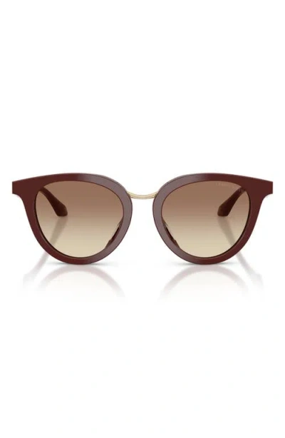 Armani Collezioni Armani 49mm Round Sunglasses In Burgundy