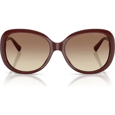 Armani Collezioni Armani 56mm Round Sunglasses In Brown