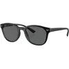 Armani Collezioni Emporio Armani 0ea4225 Sunglasses Black In Black