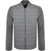Armani Collezioni Emporio Armani Down Jacket Grey In Grey