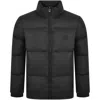 Armani Collezioni Emporio Armani Padded Jacket Black In Black