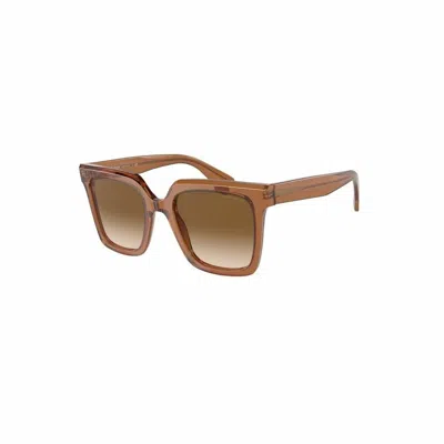 Armani Collezioni Ladies' Sunglasses Armani Ar8156-593251  52 Mm Gbby2 In Orange
