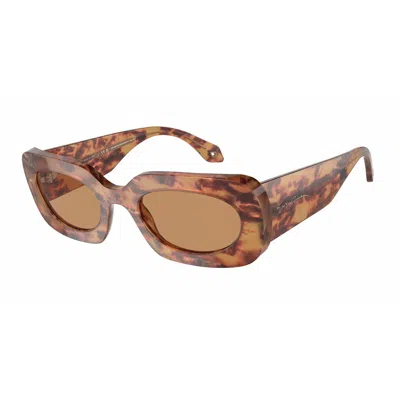 Armani Collezioni Ladies' Sunglasses Armani Ar8182-597853  52 Mm Gbby2 In Brown