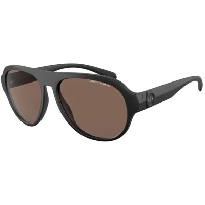 Armani Exchange Brown Acetate Sunglasses In Black