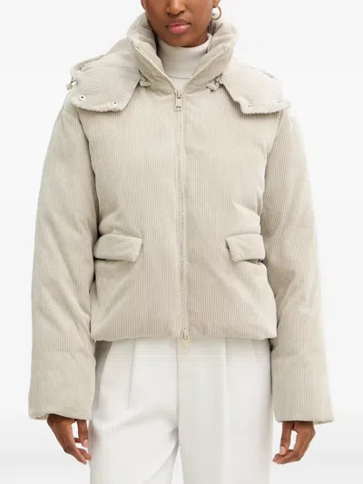 Armani Exchange Hooded Corduroy Puffer Jacket In Neutral