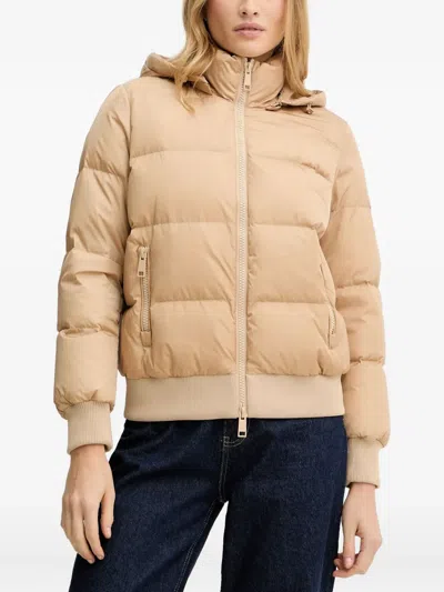 Armani Exchange Hooded Logo-patch Jacket In Orange