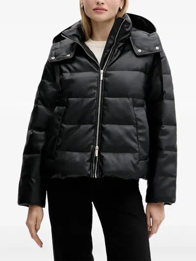 ARMANI EXCHANGE HOODED PADDED JACKET
